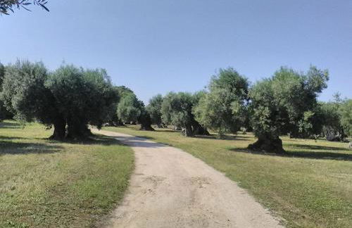 grottedisileno - Foto 3