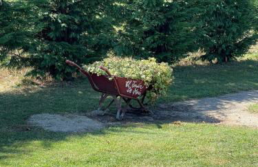 VILLA OLIMAR - Foto 20