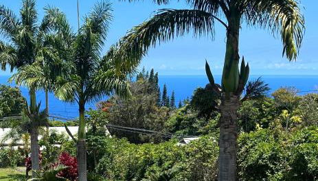 Hawaii Getaway - Foto 3, Garden, Garden view