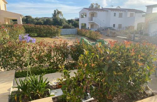 Casa Vacanza La Molaretta di San Teodoro - Foto 24