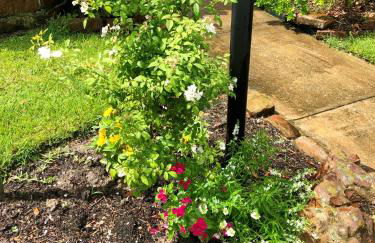 The Reside Fully Furnished Condos - Medical Stays Welcome - Foto 32