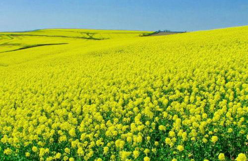 Green Shutters PembrokeshireBeachHouse - Foto 76