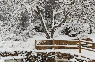 Casa los chaparrales - Foto 22