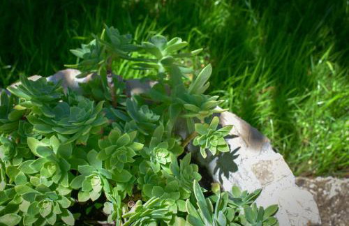 Bonaventura - Countryside Villa near Split with Private Pool - Photo 30