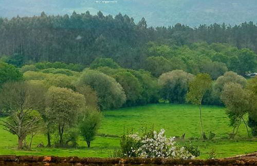 Second Home Arzúa apartamentos - Foto 53