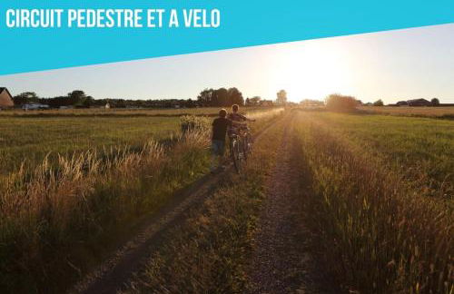 Entre Terre & Marais-Plain-pied-Plage à 15min-BBQ - Foto 19