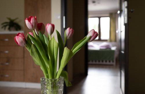 Nad Narwią - Foto 32