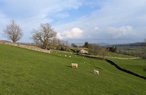 Brook Cottage Askrigg - Photo 52