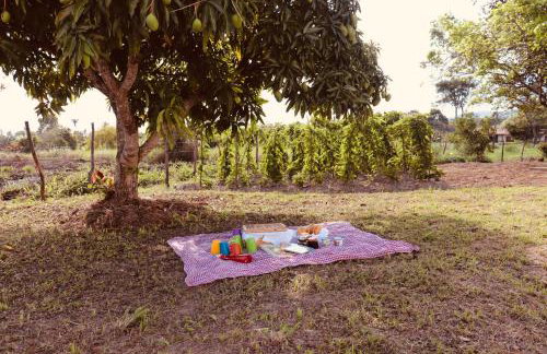 Casa com piscina, privativa, diarista, em condomínio, Bonito-Pe - Foto 79