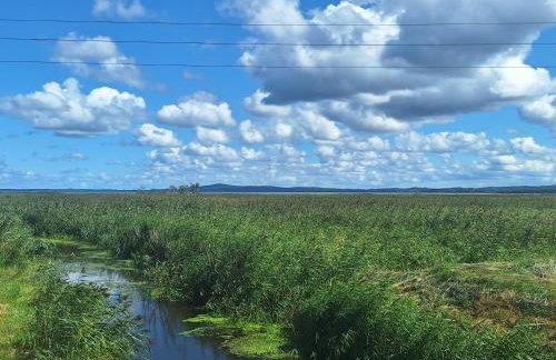 Apartament Magiczna Dębina - Foto 23