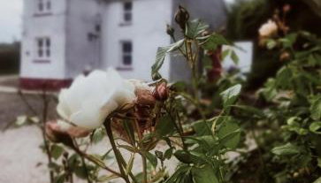 The Home House - Foto 2