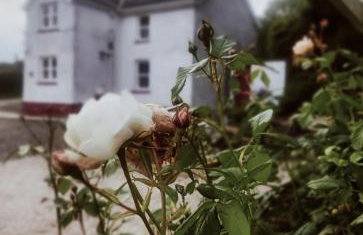 The Home House - Photo 2