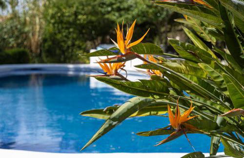 Chalet Las Canas - Foto 36