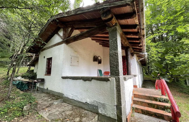 Vintage Vacation Home - Photo 39