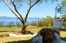 Stone House Sea View Vista Natura Private Garden Quiet Location - Foto 3
