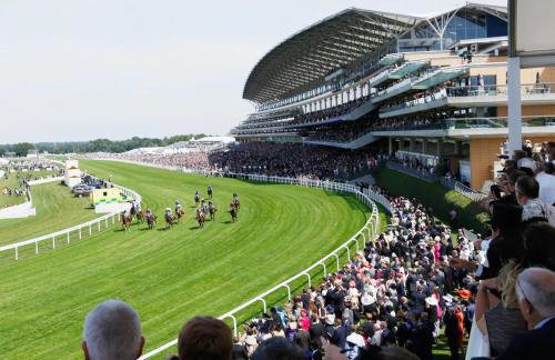 Grand Exchange near Ascot 2 bed with Parking - Photo 36