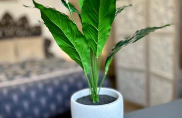 Les Appartements du Mas - Studio Améthyste - Foto 7