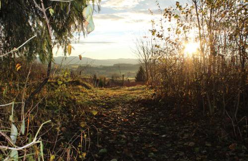 Ferienwohnung Rupp Bergblick & private Sauna - Photo 22