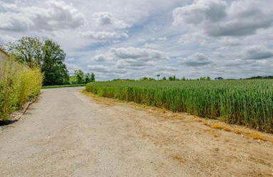 Vue sur lac - Photo 29