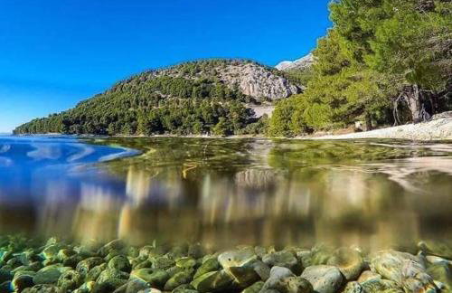 APARTMANI NOVA - Photo 9