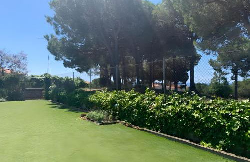 Your Pet-friendly Home In Sant Pol - Foto 4