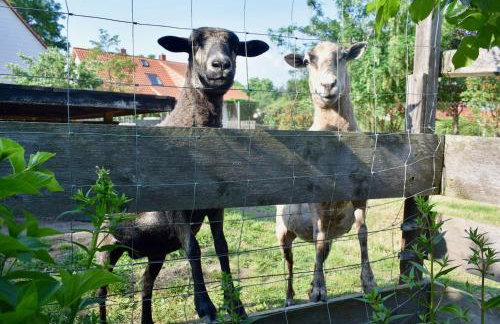 Ferienwohnung Bergblick - Foto 8