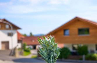 Gasthaus Schaupp - Foto 16