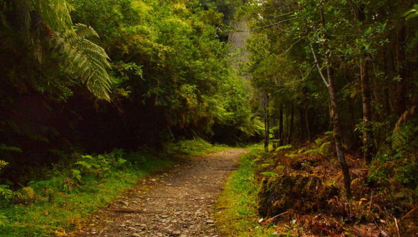 Admiring the breathtaking scenery