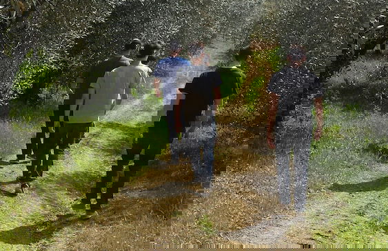 Il Pezzatino - Photo 49