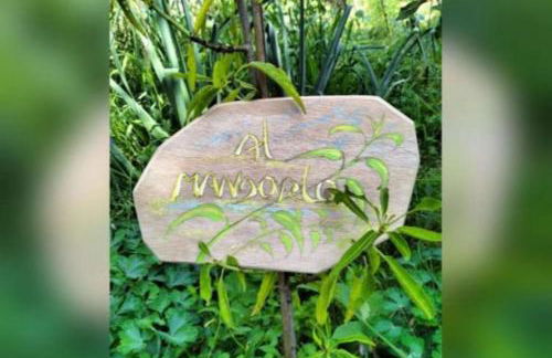 Al Mandorlo Family & Bike Friendly - Happy Rentals - Foto 65