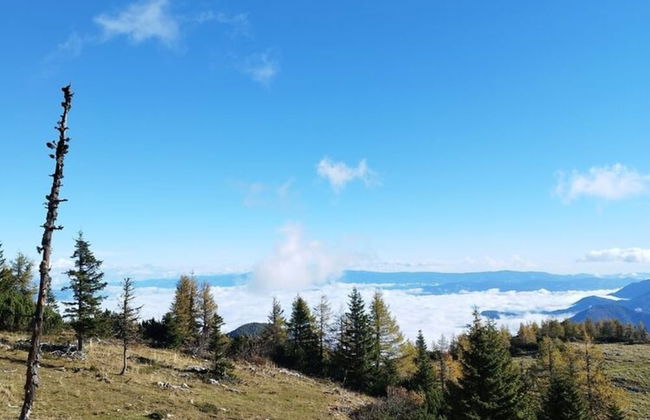 Apartment in Kuhnsdorf Near Ski Slopes - Foto 16