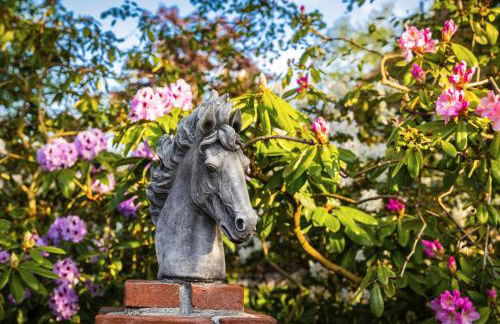 Ferienhaus LANDHAUS STUHRBERG - Foto 34