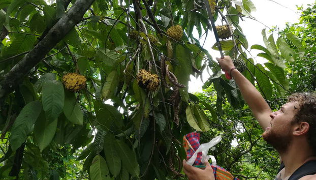 Traditional Amazonian Cooking Workshop - Foto 3