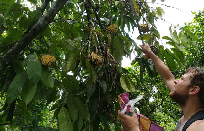 Traditional Amazonian Cooking Workshop - Foto 3