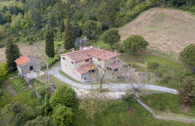 Fattoria di Cintoia - Photo 51
