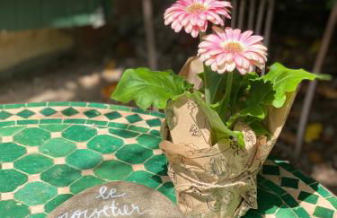 Les Hauts de Jeanvert - Gite de Charme - Piscine - Gaillac - Foto 26