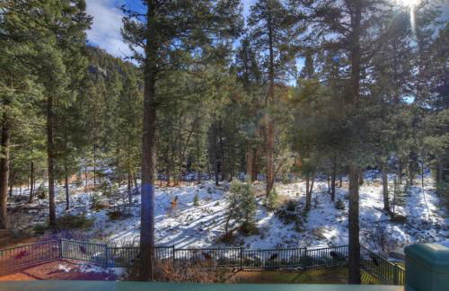 Vallecito Mountain Time Lodge in Bayfield CO - Foto 54