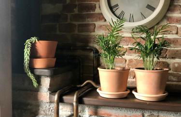 Casa Cerezal - Foto 23