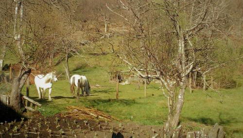 Abrigo Montesinho - Foto 3