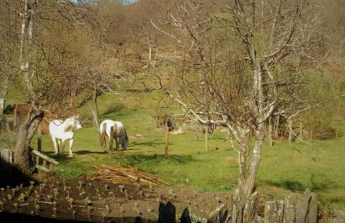 Abrigo Montesinho - Foto 3