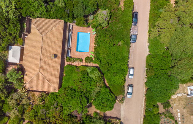 Maximilian - Foto 26