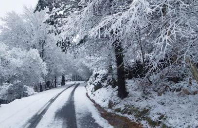 Quinta Vale da Prata - Foto 8