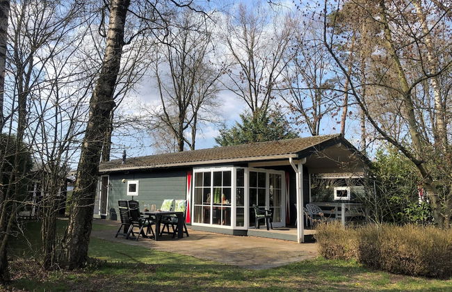 Chalet in Voorthuizen With Indoor Pool - Photo 35