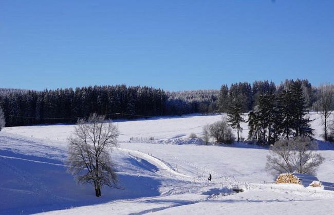 Sunny Terrace & Quiet Stay - Foto 27