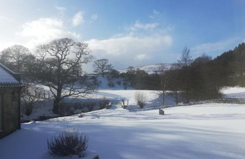 Bluebells Cottage - Photo 31