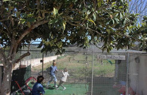 Son Roig ,Beautiful Place in the Heart of Mallorca -ETV 9979 - Foto 47