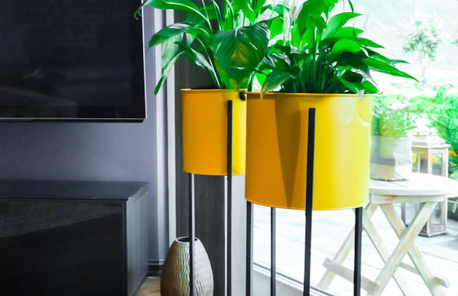 Ingrids Appartement - Photo 27