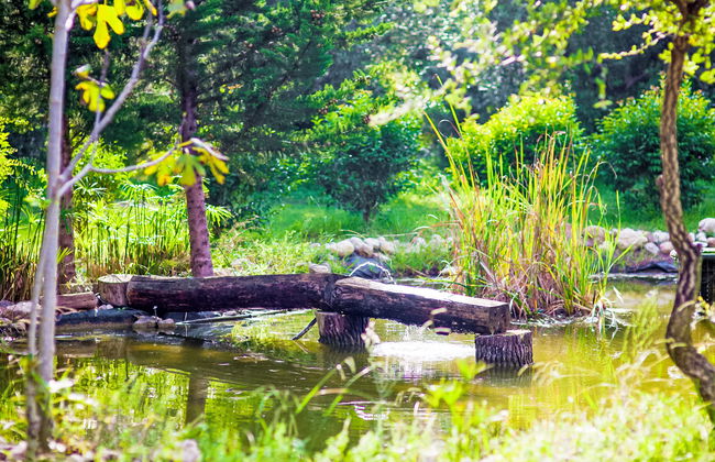 Tenuta Valente - Foto 43