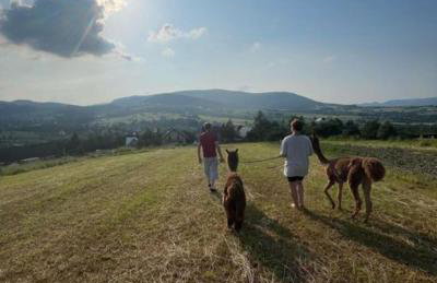 Agroturystyka Zagroda Miłkowskie - Photo 10