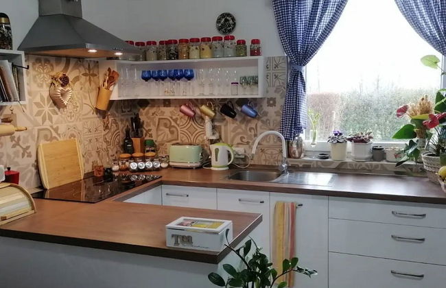 Holiday Home Paunovaca - Foto 5